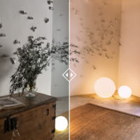 Preset Bundle "nina.everywhere" – Bild 2