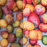 Preset Bundle "nina.everywhere" – Bild 4